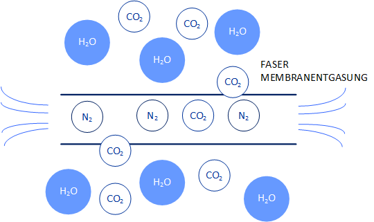 Verfahren Membranentgasung de